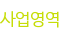 사업영역